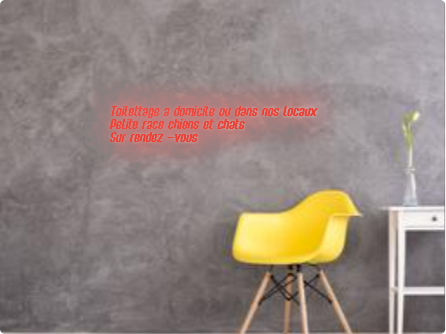 Custom text: Toilettage a domicile ou dans nos locaux
Petite race chiens et chats
Sur rendez -vous